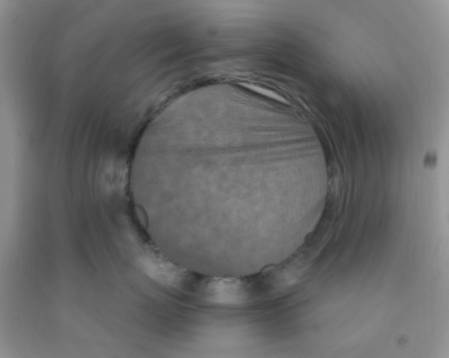 X0000091350767200709071238