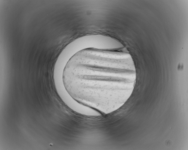 X0000091350768200709071238