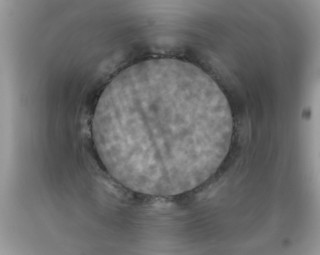 X0000091350770200709071238