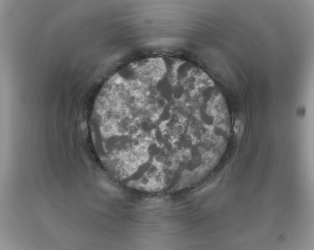 X0000091350771200709071238