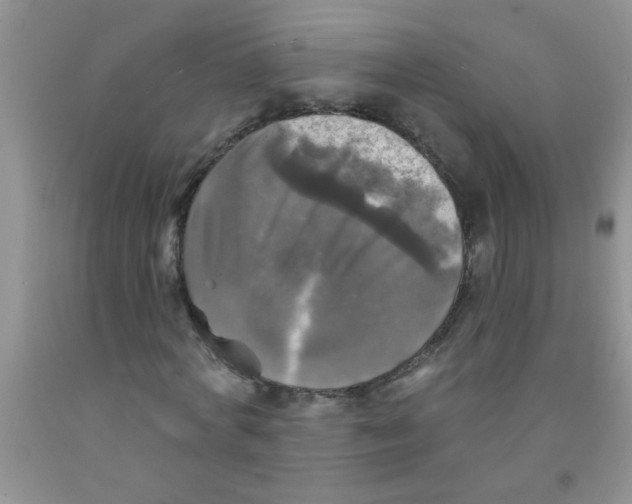 X0000091350772200709071238