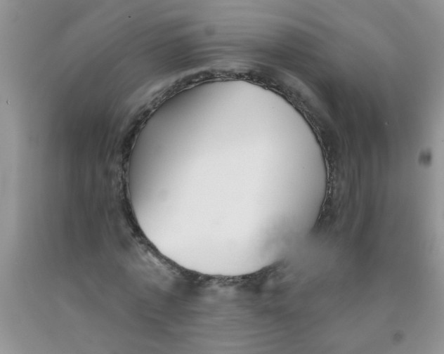 X0000091350773200709071238