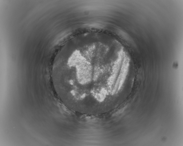 X0000091350774200709071238