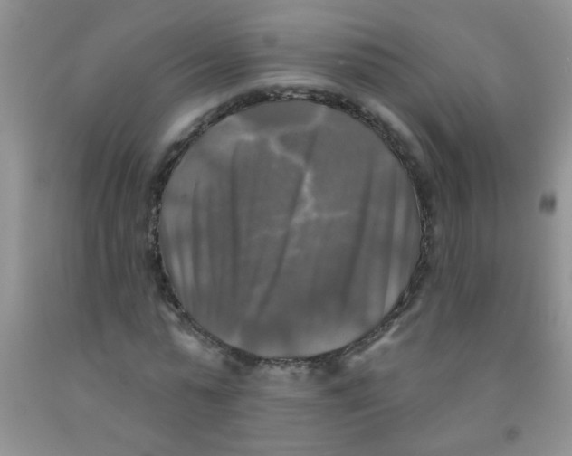 X0000091350775200709071238