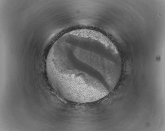 X0000091350776200709071238
