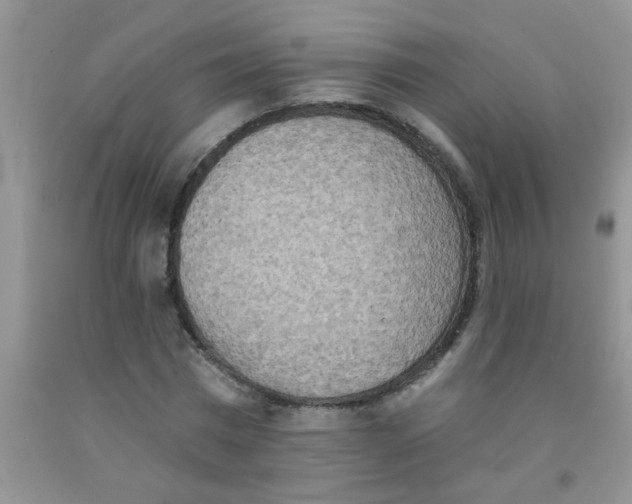 X0000091350777200709071238