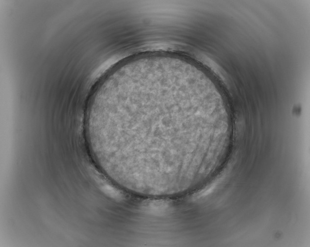 X0000091350778200709071238