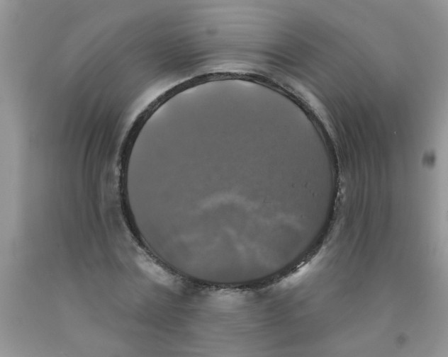X0000091350779200709071238