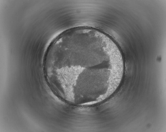 X0000091350780200709071238