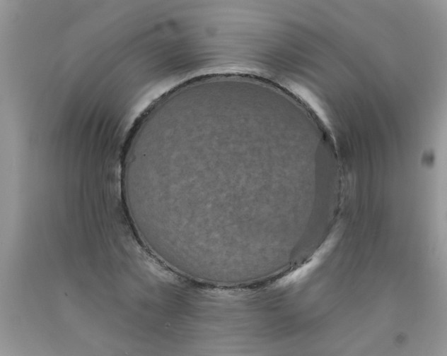 X0000091350781200709071238