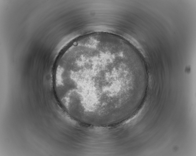 X0000091350782200709071238