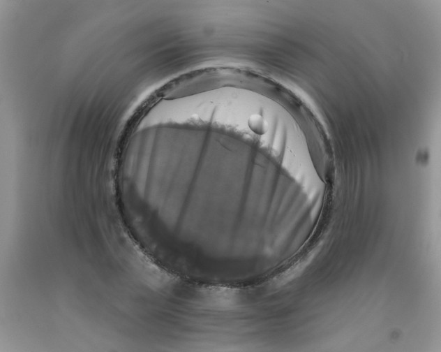 X0000091350783200709071238