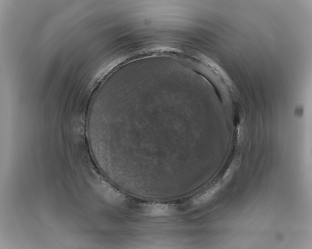 X0000091350785200709071238