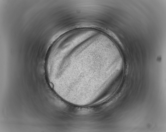 X0000091350786200709071238