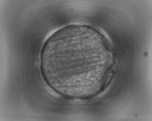 X0000091350787200709071238