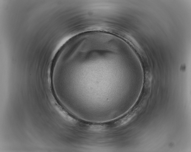 X0000091350788200709071238