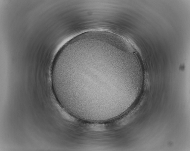 X0000091350789200709071237