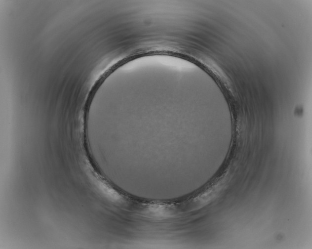 X0000091350790200709071237