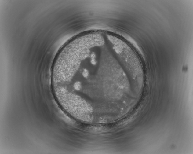 X0000091350791200709071237
