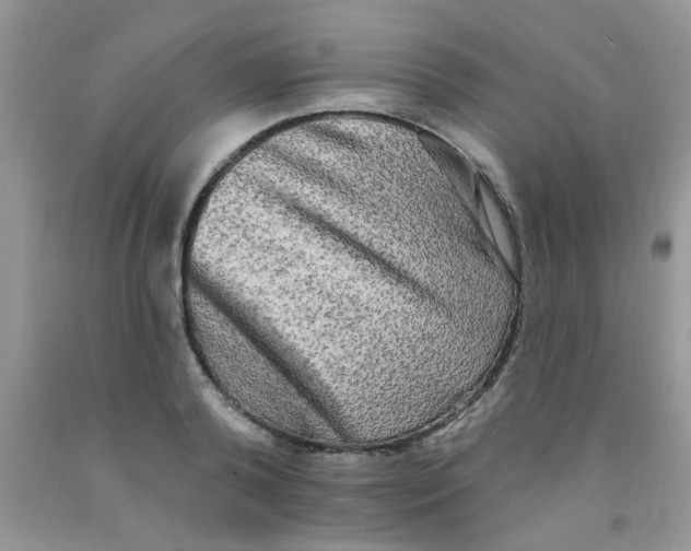 X0000091350792200709071237