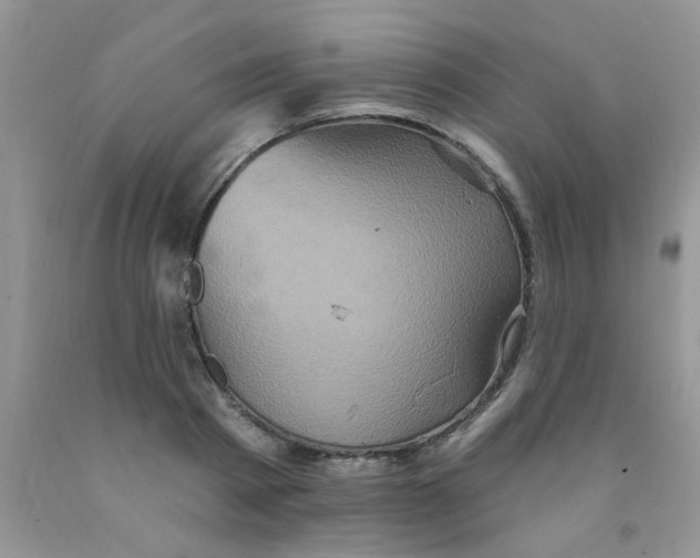 X0000091350793200709071237