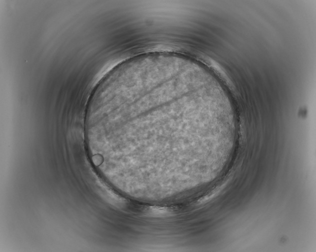 X0000091350794200709071237