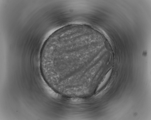 X0000091350795200709071237