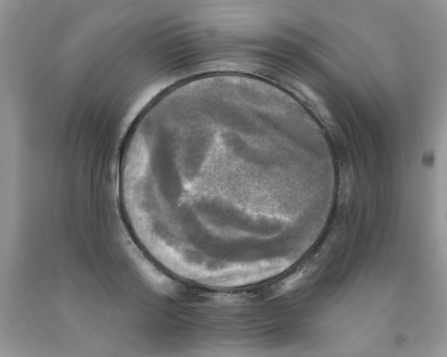 X0000091350796200709071237