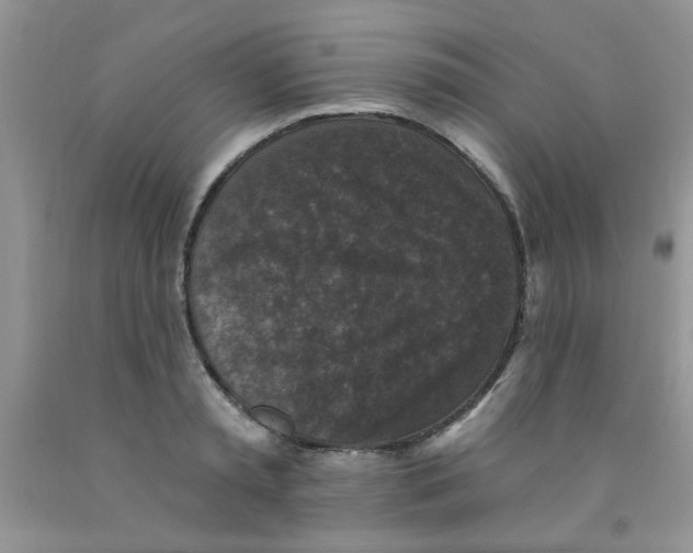 X0000091350797200709071237