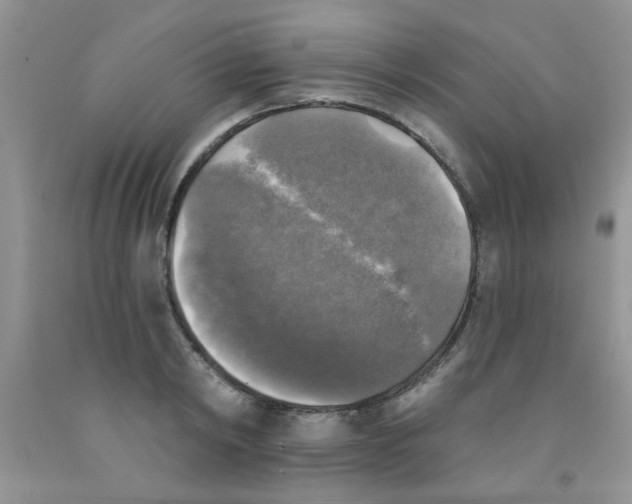 X0000091350798200709071237