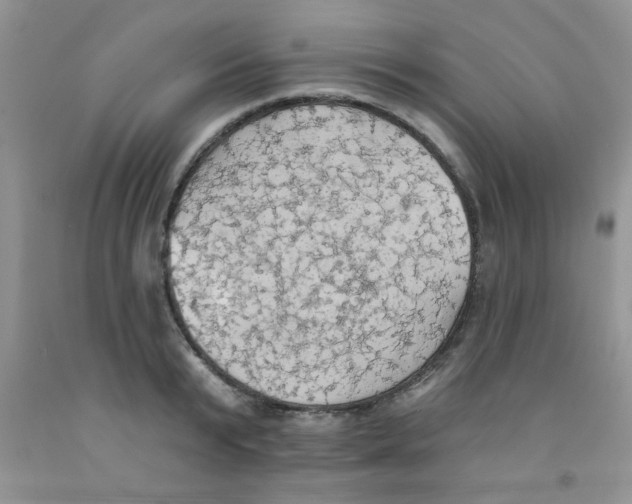X0000091350799200709071237