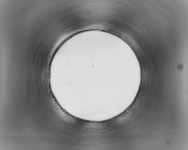 X0000091350800200709071237