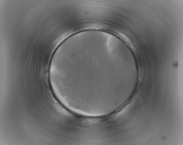 X0000091350802200709071237
