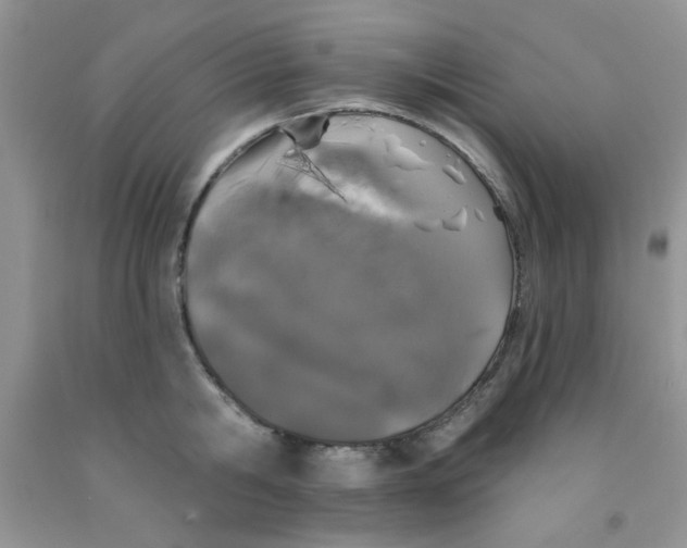 X0000091350806200709071237
