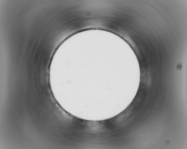 X0000091350807200709071237