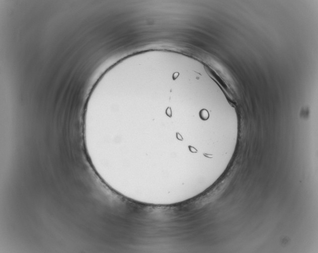 X0000091350808200709071237