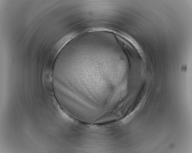 X0000091350809200709071237