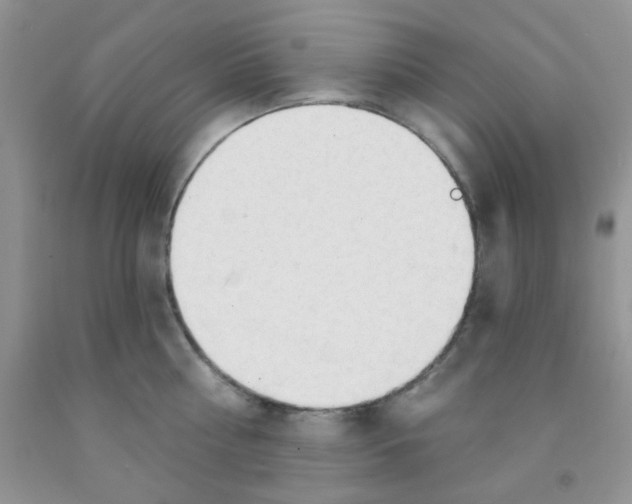 X0000091350810200709071237