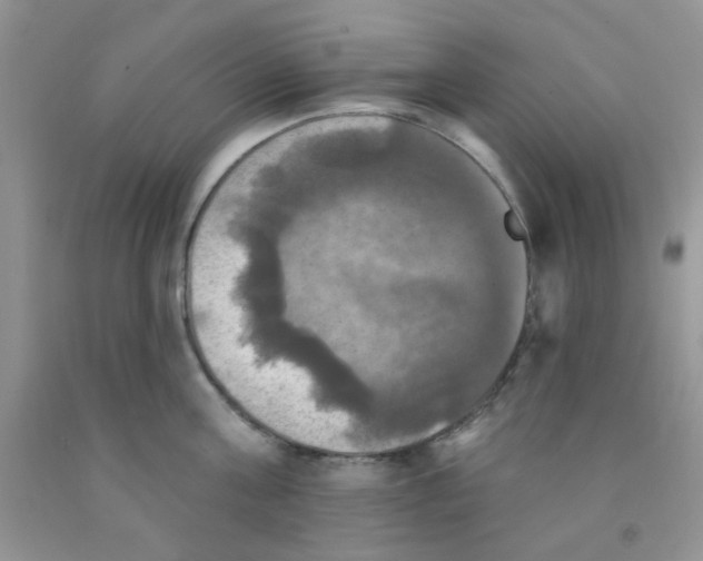 X0000091350811200709071237