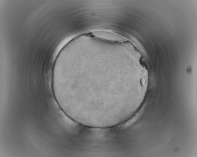 X0000091350812200709071237