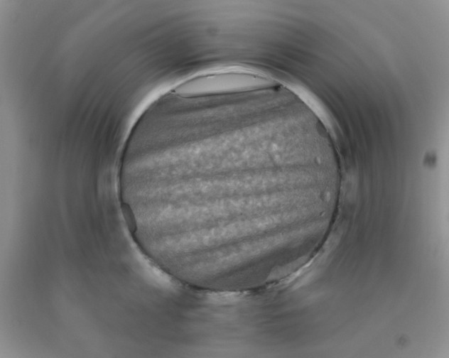 X0000091350813200709071237
