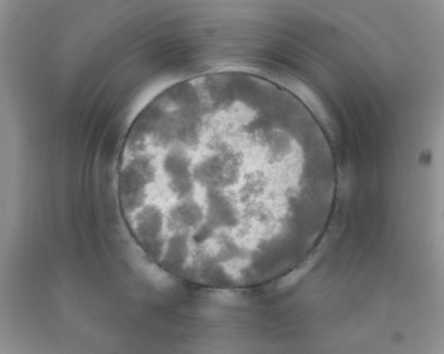 X0000091350814200709071237