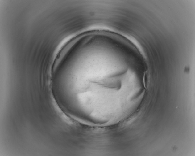 X0000091350815200709071237