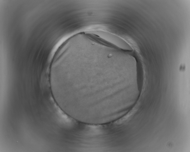 X0000091350816200709071237