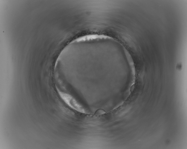 X0000091350817200709071237
