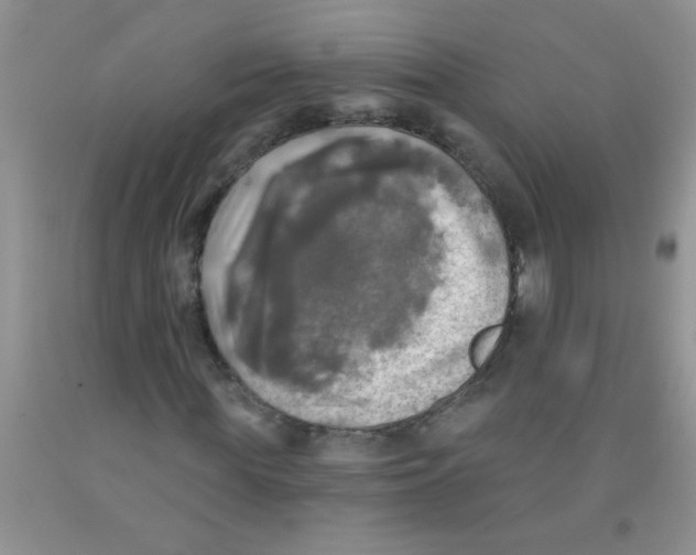 X0000091350819200709071237