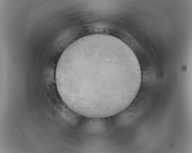 X0000091350820200709071237