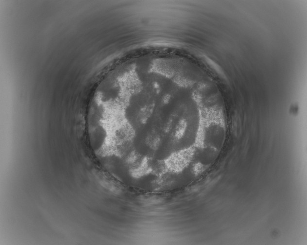 X0000091350821200709071237