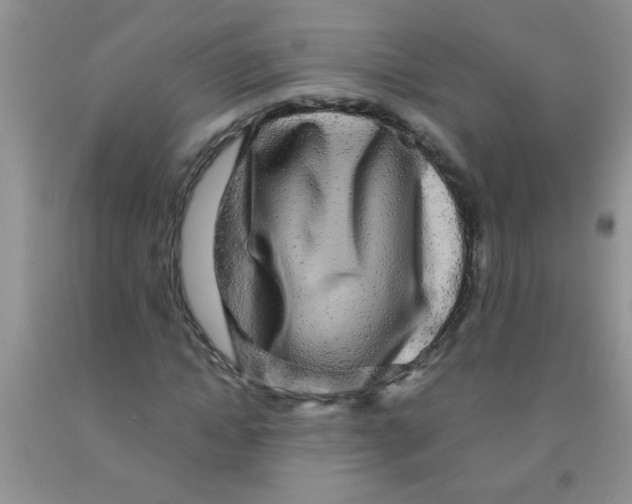 X0000091350822200709071237