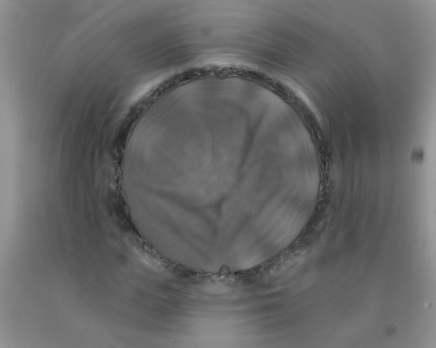 X0000091350823200709071237